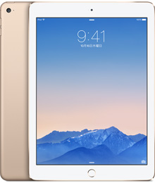 Apple iPad AIR2 16GB　WiFiモデル　1ヶ月(月ままたぎOK)事前決済